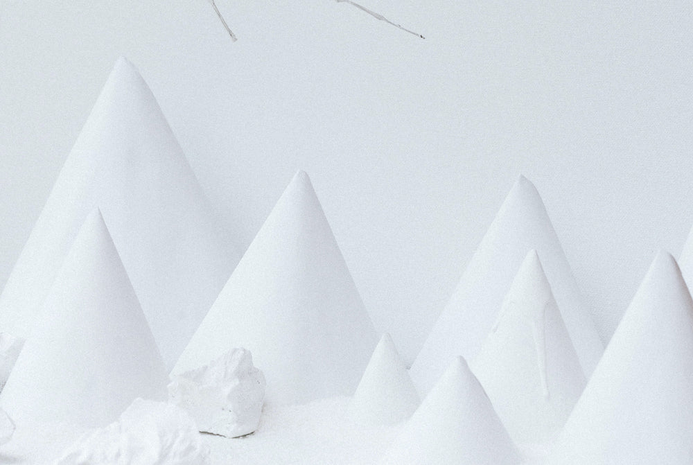 Habitats - Tundra * S 2020