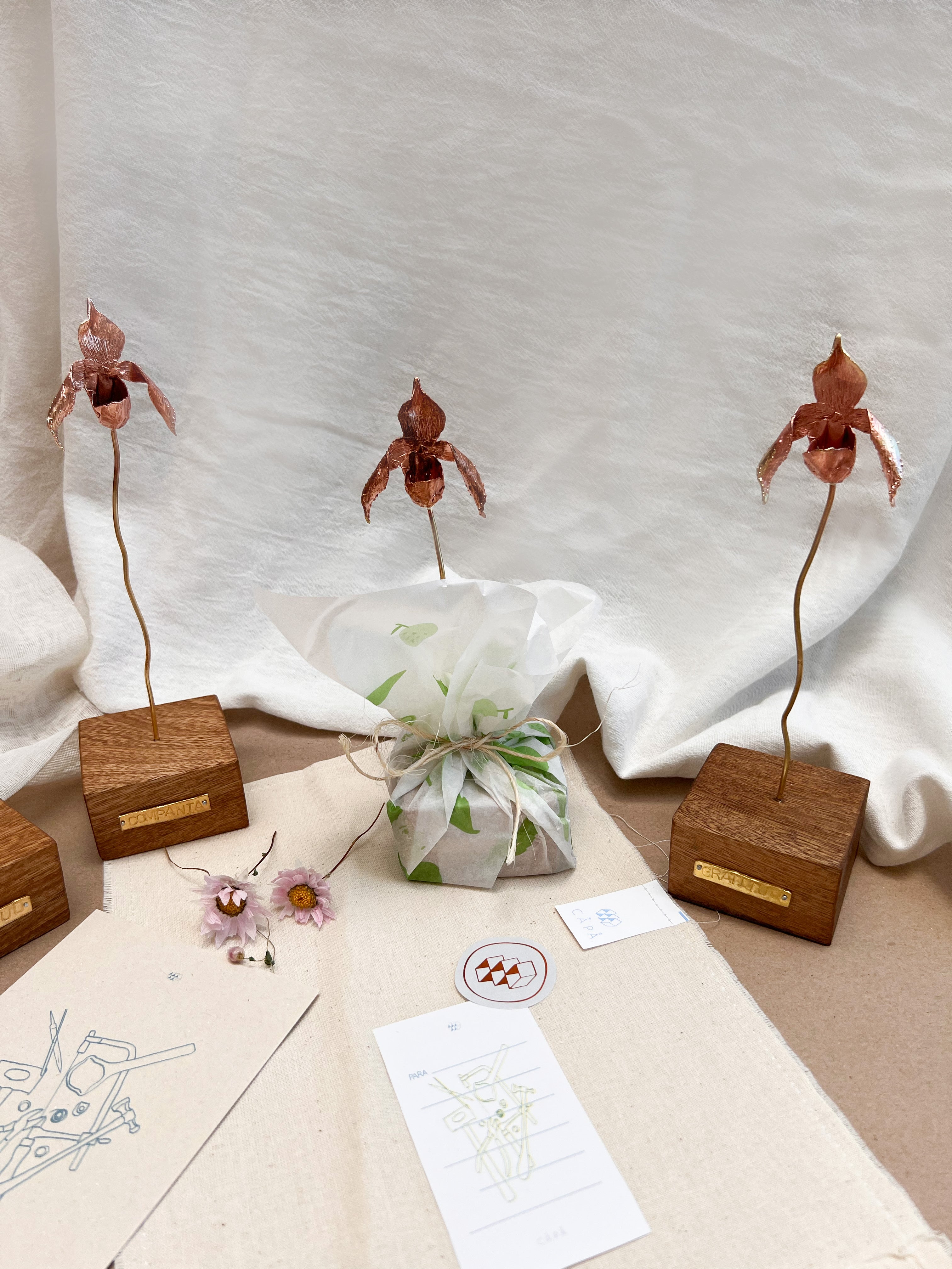 Orchids Kit