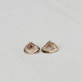 Shell Stud Earrings