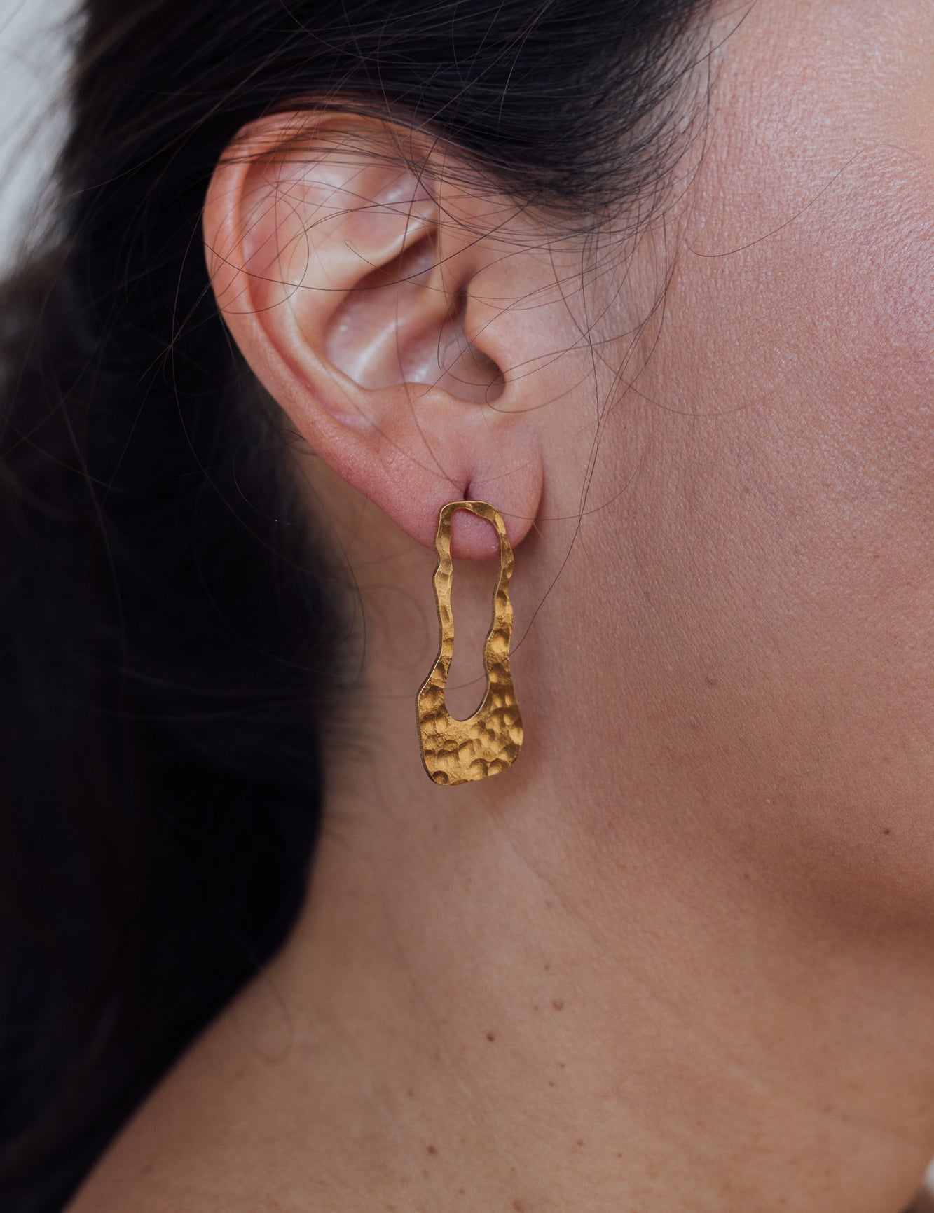 Caudal Earrings + Alchemilla Suncatchers Kit
