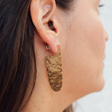 Pampa Earrings