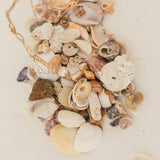 Nutmeg Necklace