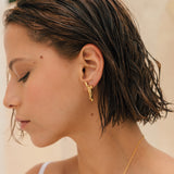 Coral Earrings