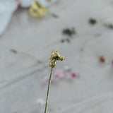 Horse Skewer