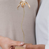 Huanuco Orchid Sculpture