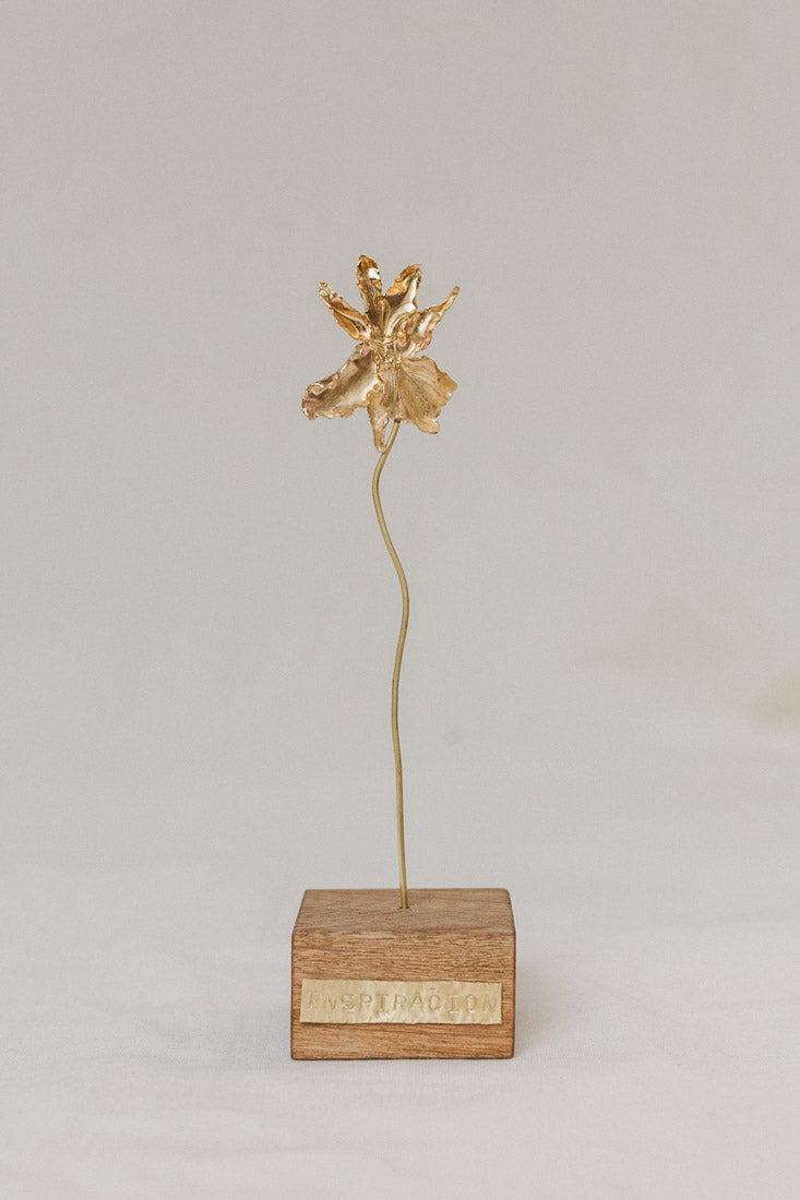 Catleya Orchid Sculpture