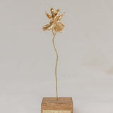Catleya Orchid Sculpture