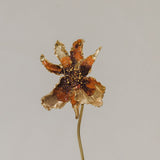 Catleya Orchid Sculpture