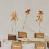 Catleya Orchid Sculpture