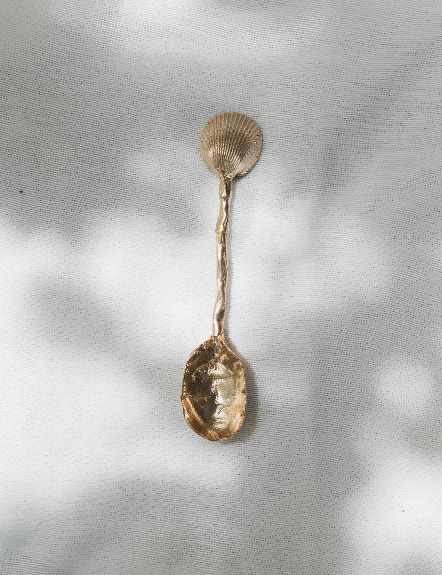 Shell Utensils