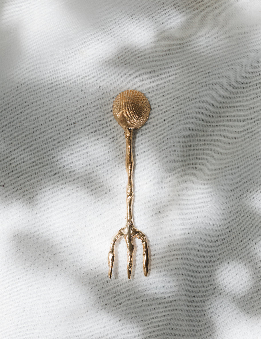 Shell Utensils