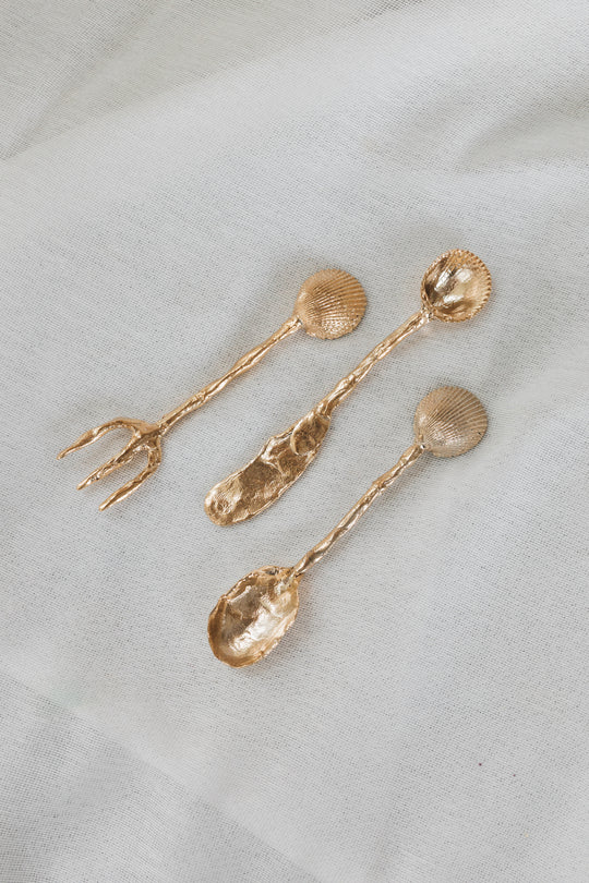 Shell Utensils