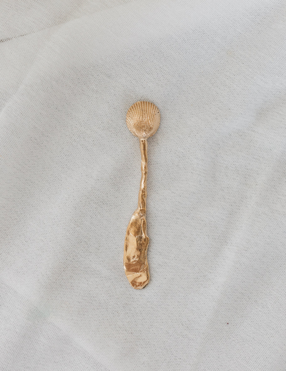 Shell Utensils