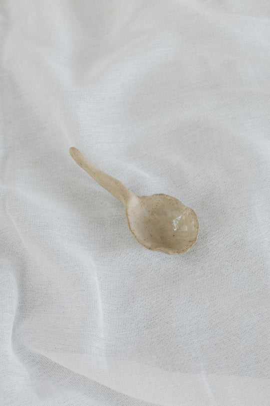 Ceramic Spoon