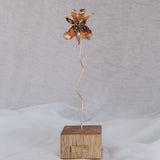 Catleya Orchid Sculpture