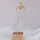 Huanuco Orchid Sculpture