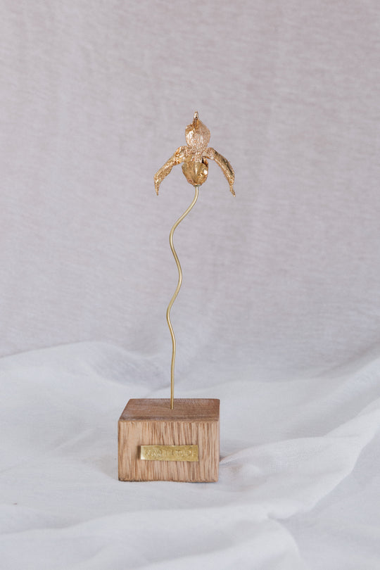 Huanuco Orchid Sculpture