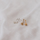 Bunch of corozos Earrings