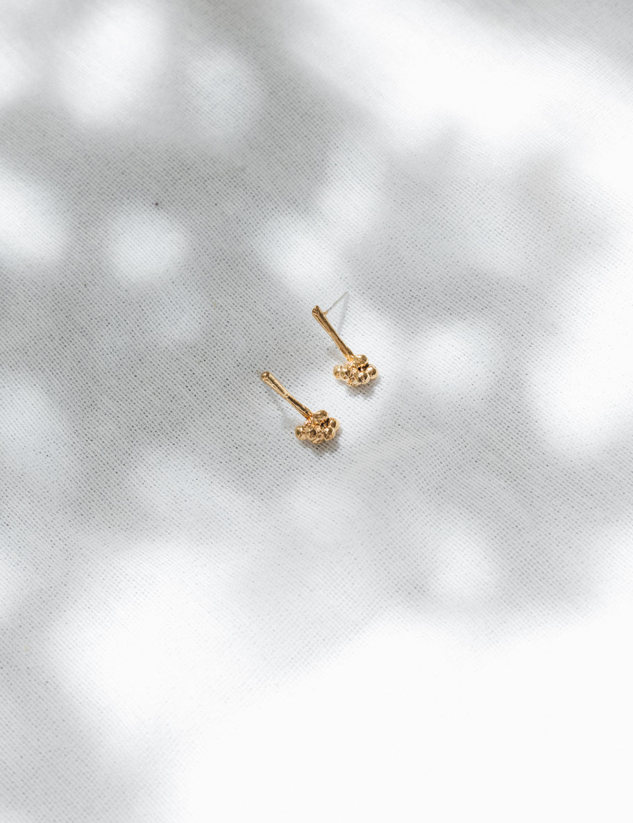 Bunch of corozos Earrings