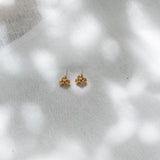 Corozo Stud Earrings