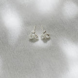 Corozo Stud Earrings