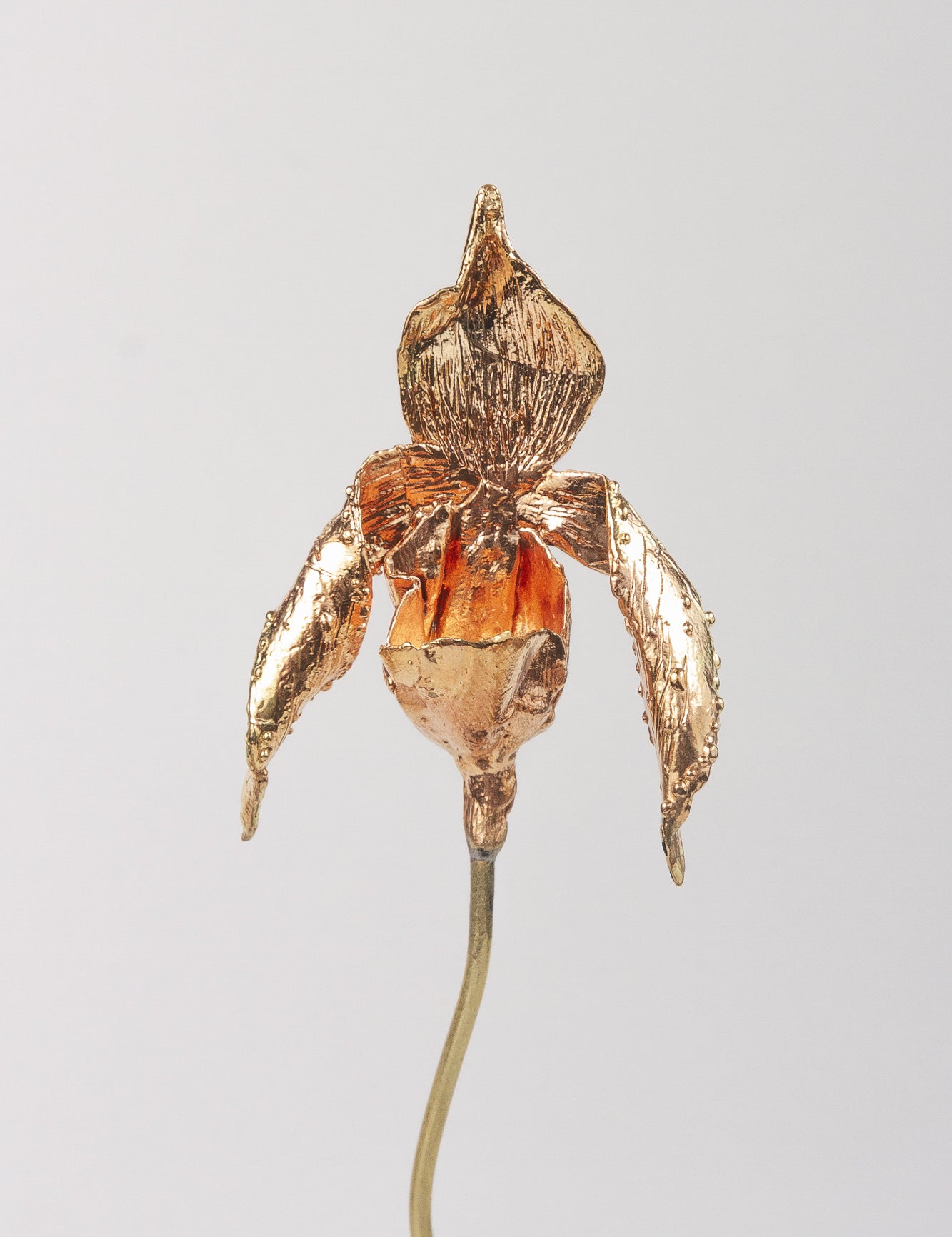 Huanuco Orchid Sculpture with Black Base