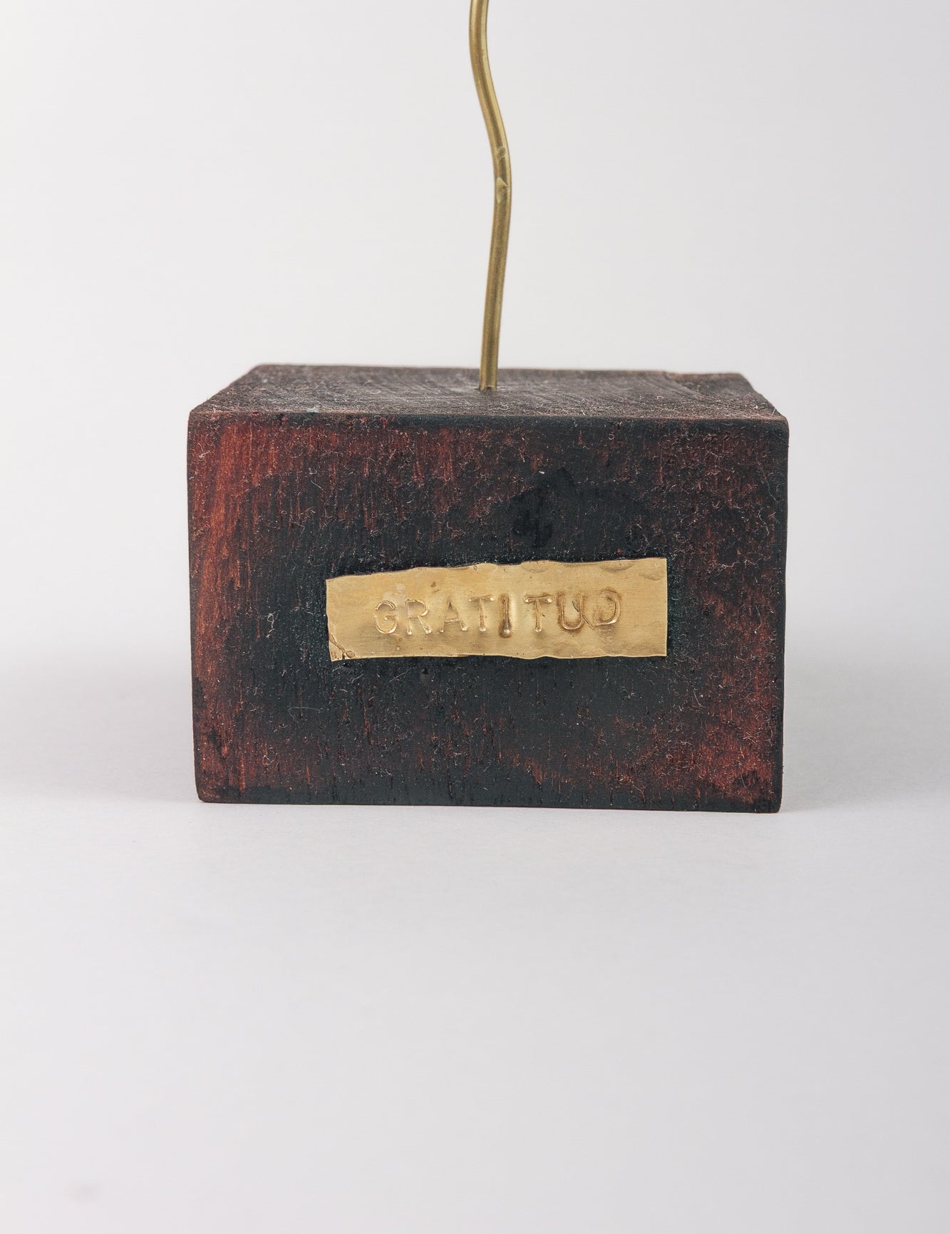 Huanuco Orchid Sculpture with Black Base
