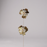 Alchemilla — Suncatchers