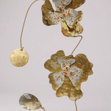 Alchemilla — Suncatchers