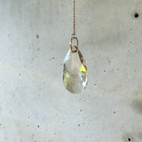 Alchemilla — Suncatchers
