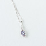 Lavender Charm