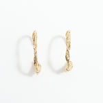 Gold hoop earrings on a white background