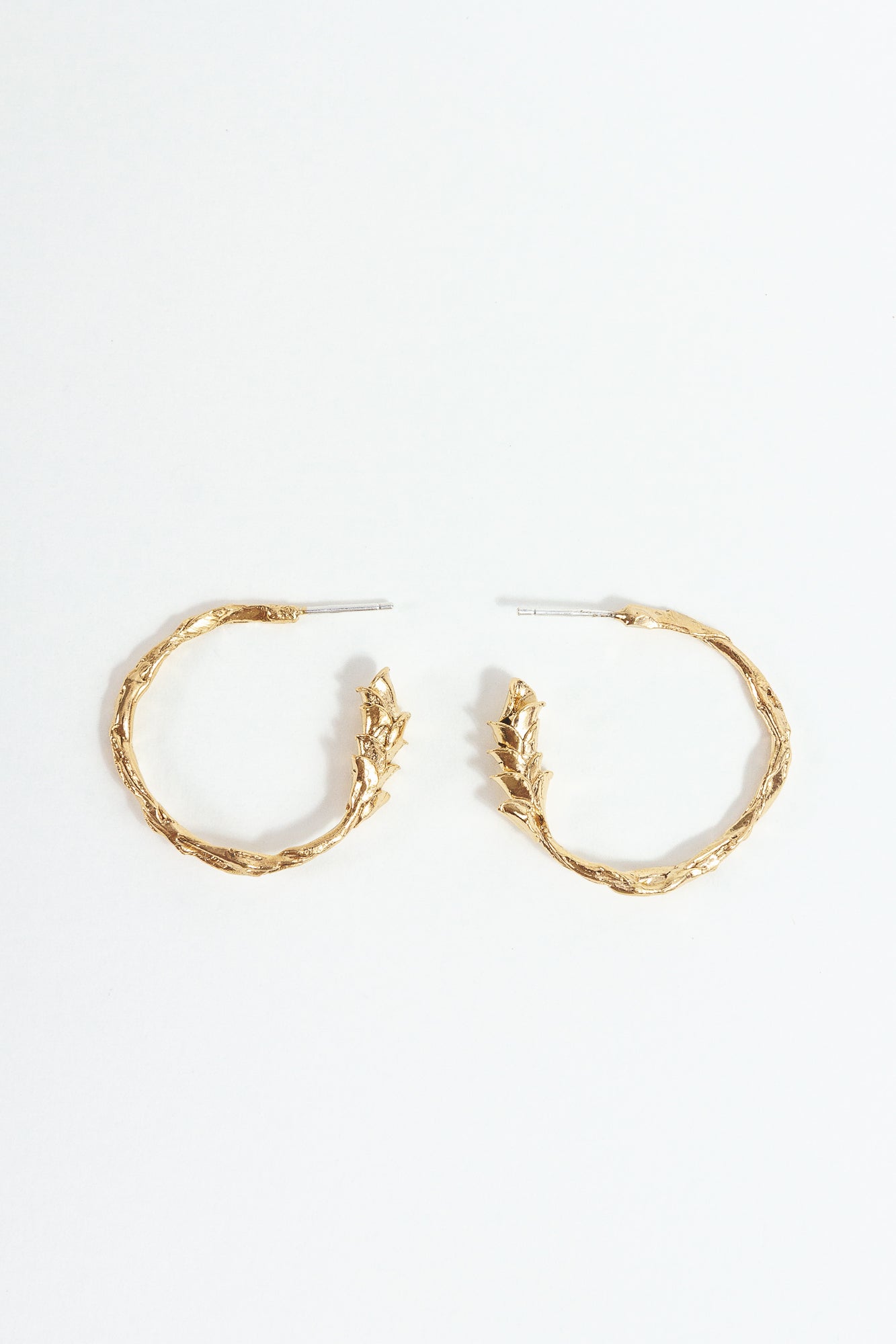 Pair of gold hoop earrings on a white background