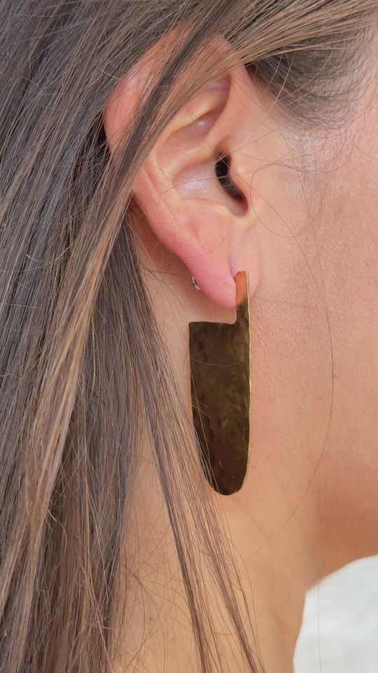 Pampa Earrings