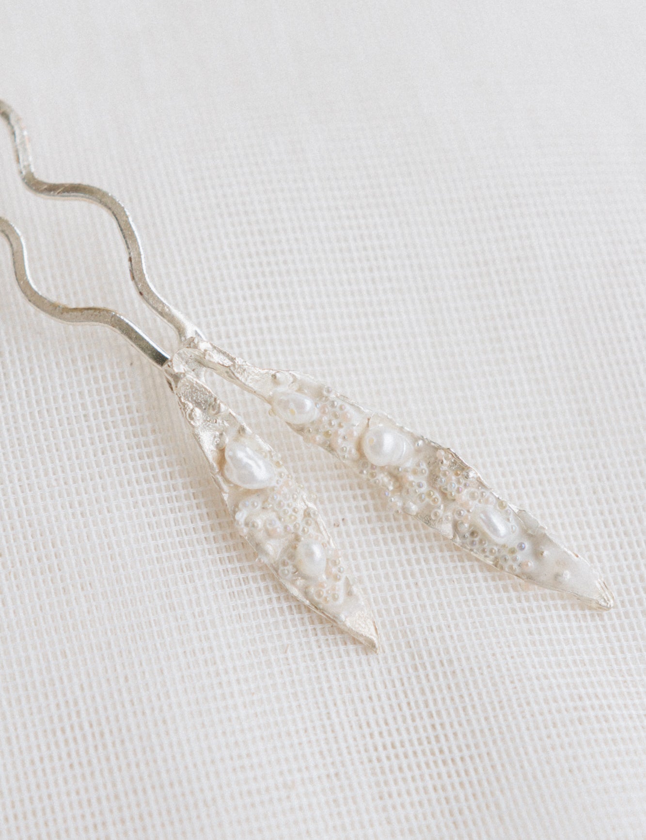 Brassia Comb
