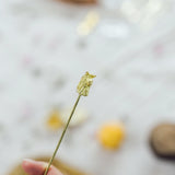 Alpaca Skewer