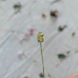 Alpaca Skewer
