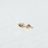 Chipi Chipi Shell Earrings