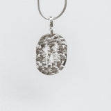 Coniferas Medal