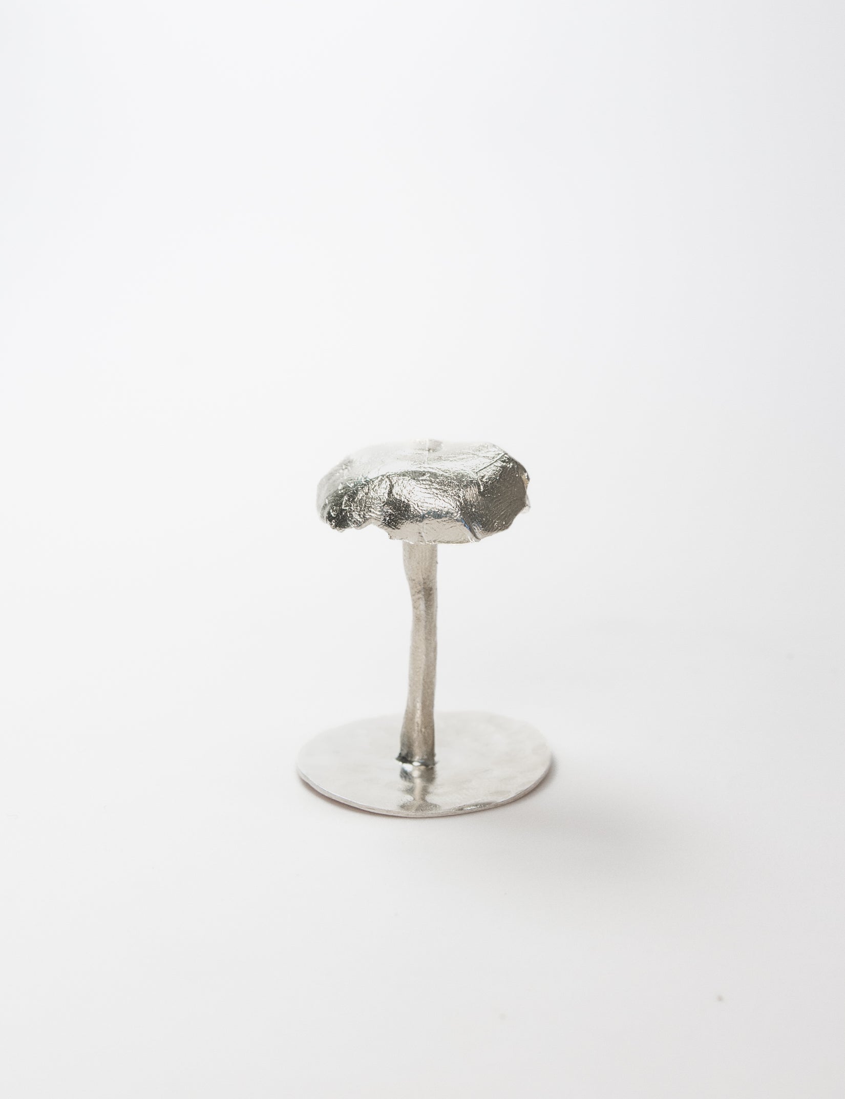 Large Fungus