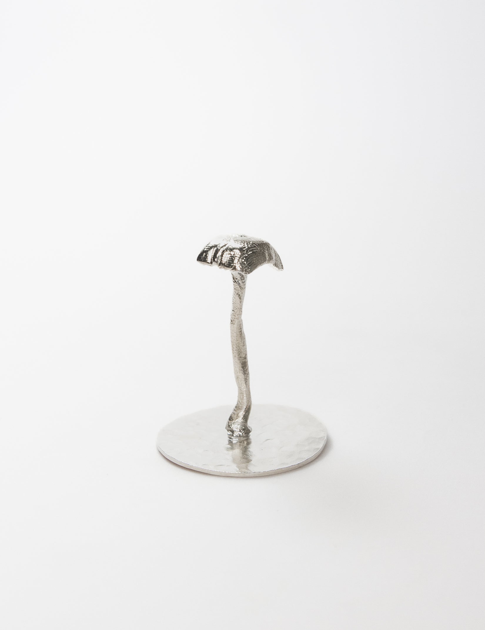 Medium Fungus