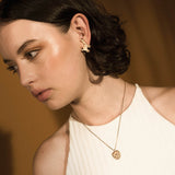 Alpaca Earrings