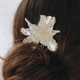 Cattleya Comb