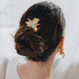 Cattleya Comb