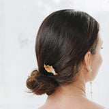 Leaf Clattleya Comb