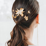 Cattleya Comb