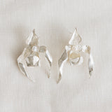 Huanuco Earrings