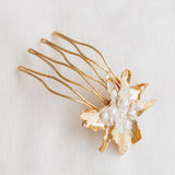 Cattleya Comb