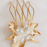 Cattleya Comb
